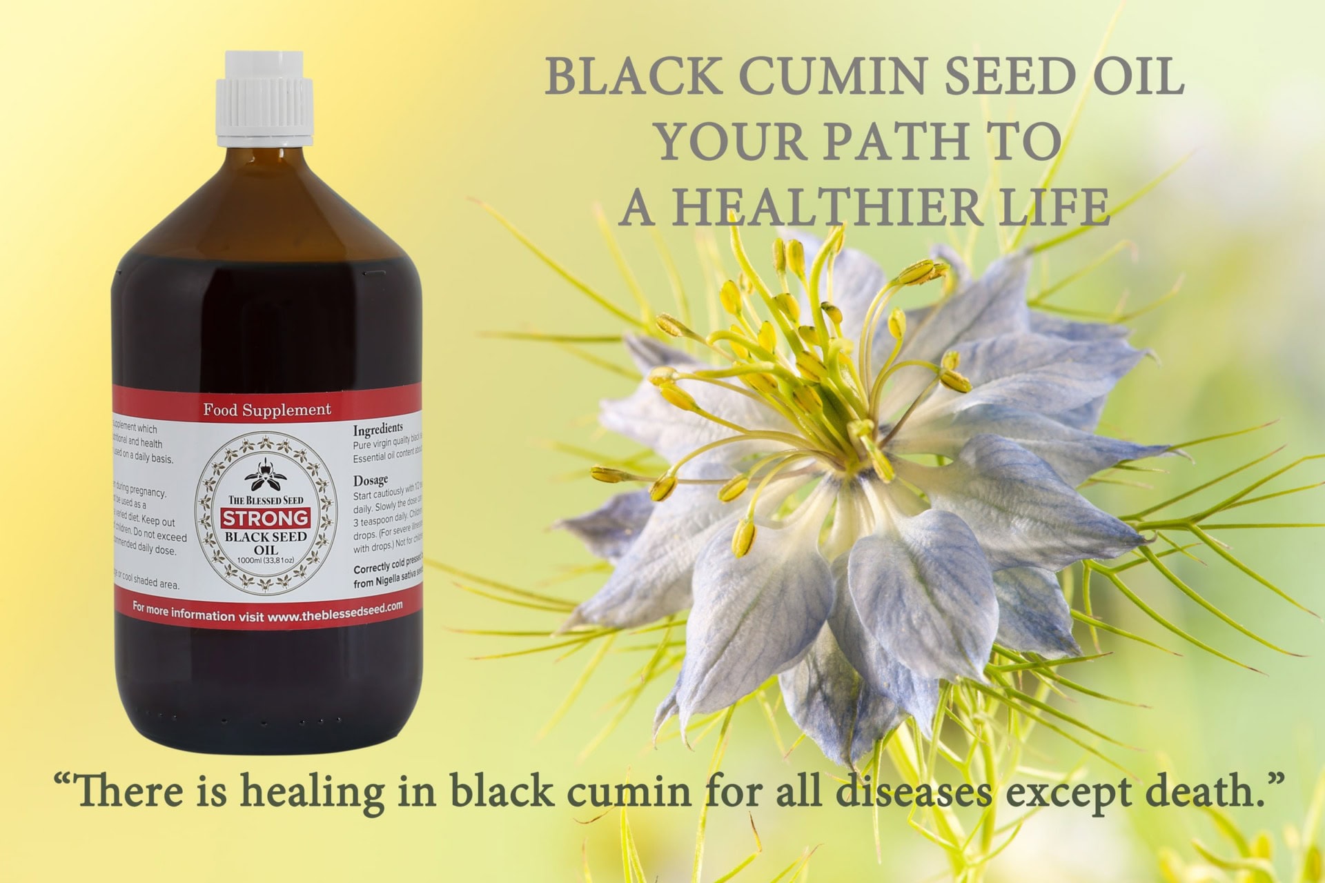Black Seed Oil The Blessed Seed